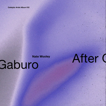 Album: After Gaburo -- Nate Wooley