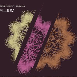 Allium - Dave Rempis, Tomeka Reid