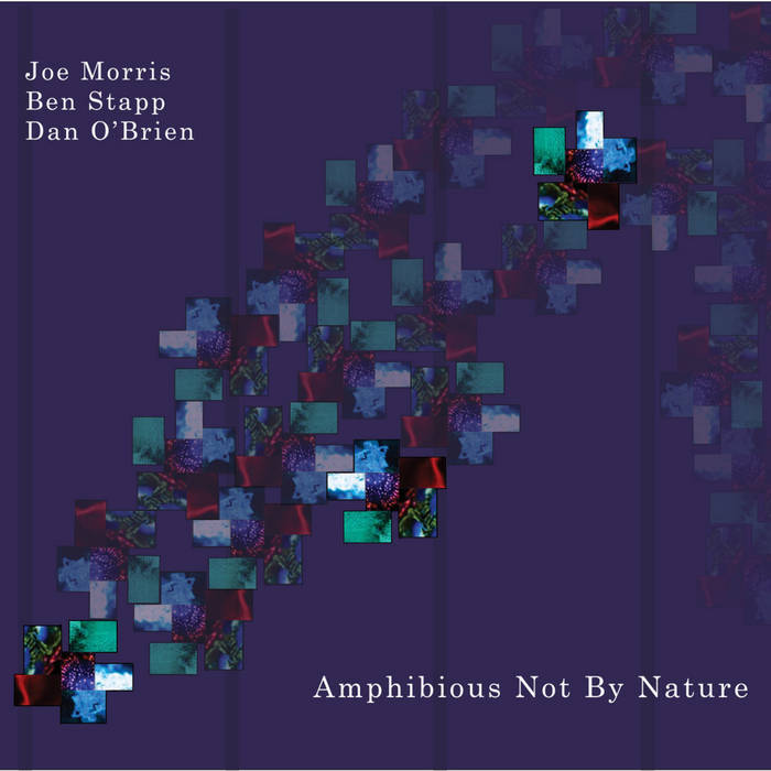 Album: Amphibious Not By Nature -- Joe Morris