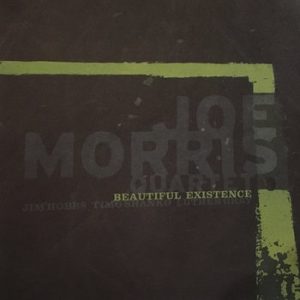 Beautiful Existence -- Joe Morris