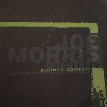 Album: Beautiful Existence -- Joe Morris