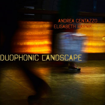Album: Duophonic Landscape -- Elisabeth Harnik
