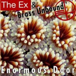 Album: Enormous Door