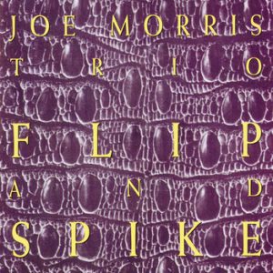 Flip & Spike -- Joe Morris