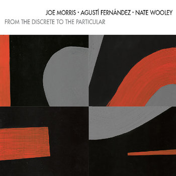 Album: From The Discrete To The Particular -- Joe Morris