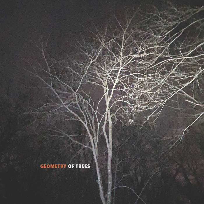 Album: Geometry of Trees -- Joe Morris