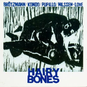 Hairy Bones -- Paal Nilssen-Love
