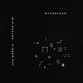 Album: Macrocosm -- Joe Morris