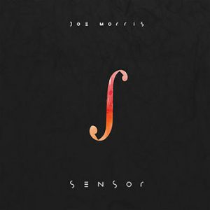 Sensor -- Joe Morris
