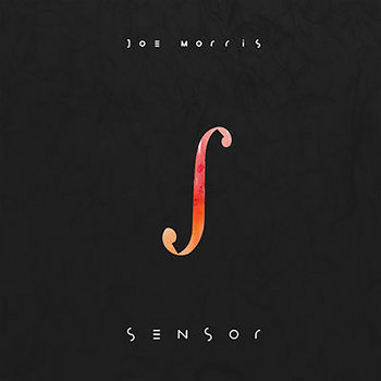 Album: Sensor -- Joe Morris
