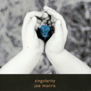 Singularity -- Joe Morris