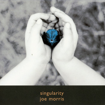 Album: Singularity -- Joe Morris