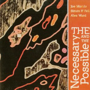 The Necessary and the Possible -- Joe Morris