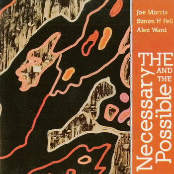 Album: The Necessary and the Possible -- Joe Morris