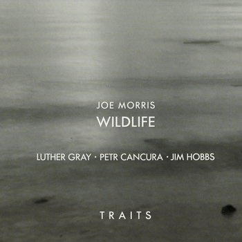 Album: Traits -- Joe Morris