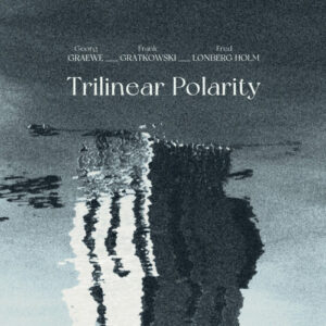 Album: Trilinear Polarity