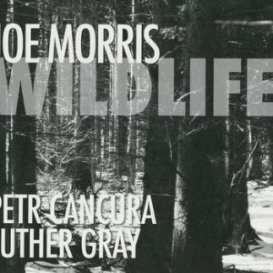 Wildlife -- Joe Morris
