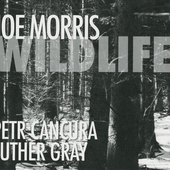 Album: Wildlife -- Joe Morris